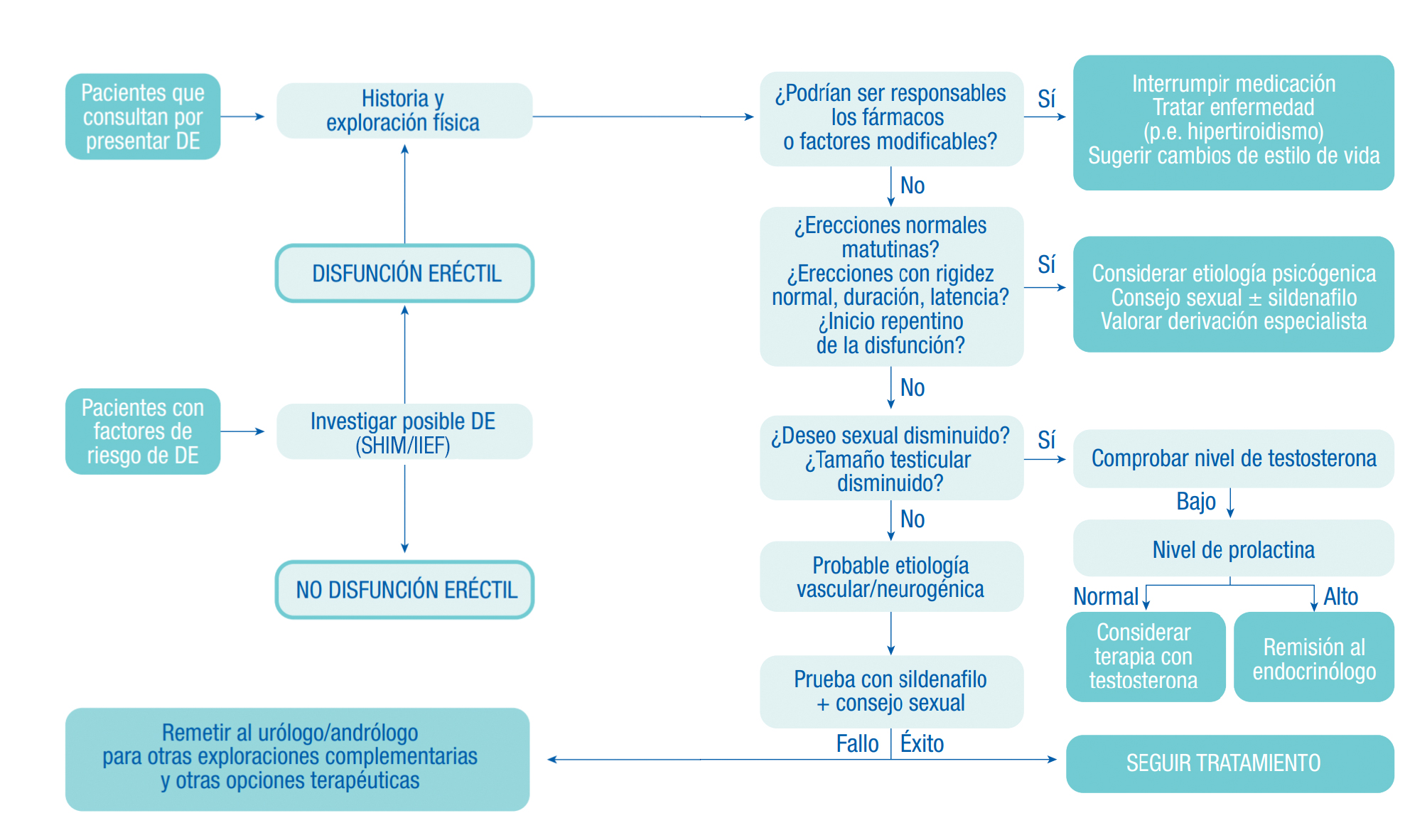 algoritmo-toma-decisiones-bandol-sildenafilo-liquido-aspargo-labs